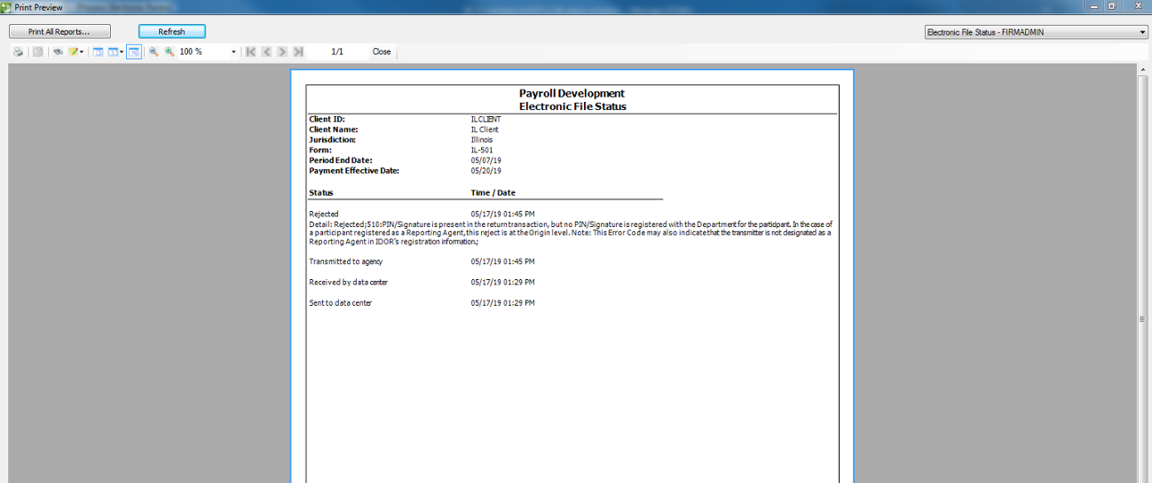 Print Review dialog. Shows the same details as the image of the Electronic File Status report, but in the Status section shows a 'Rejected' section, which gives Time/Date and Detail of the rejection.