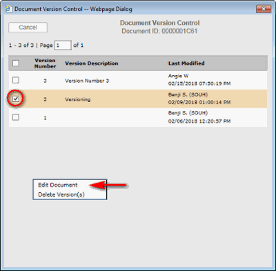 Document Version Control window