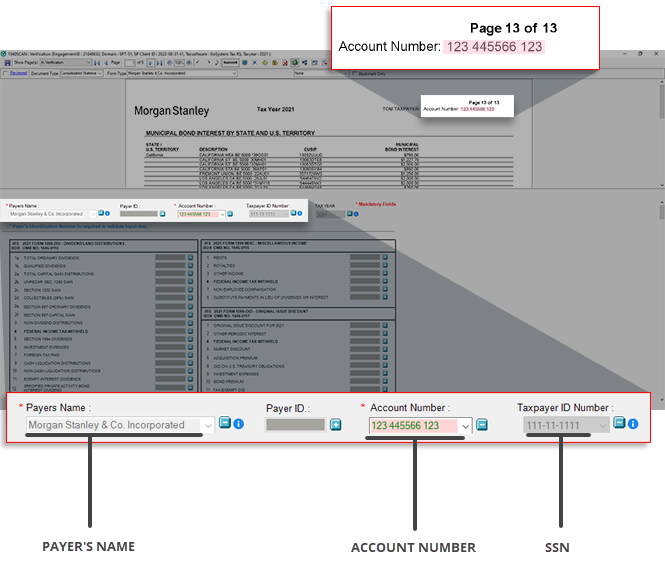 Identifier fields in Review Wizard and the document