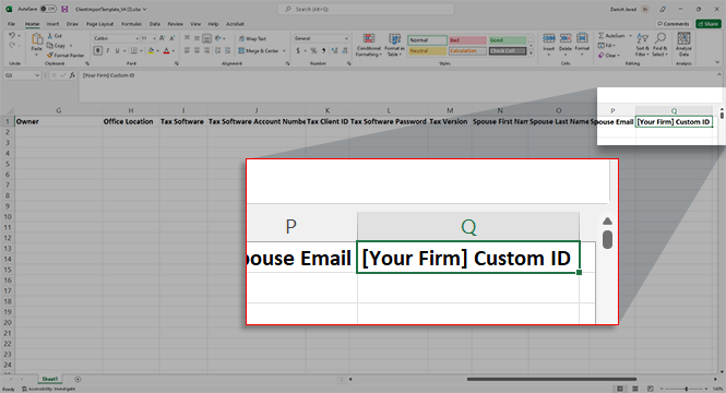 Custom field when importing clients.
