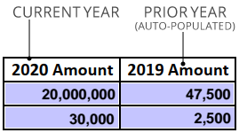 Current year and prior year columns