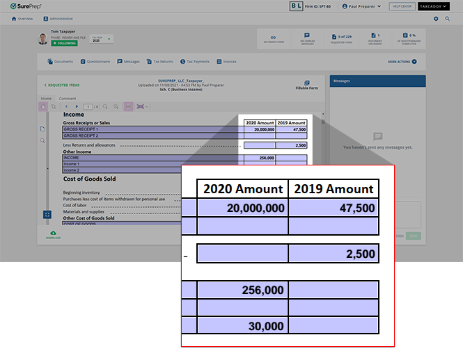 Current year and prior year columns in the document viewer